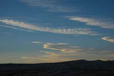 DSC_0311 (Large).JPG